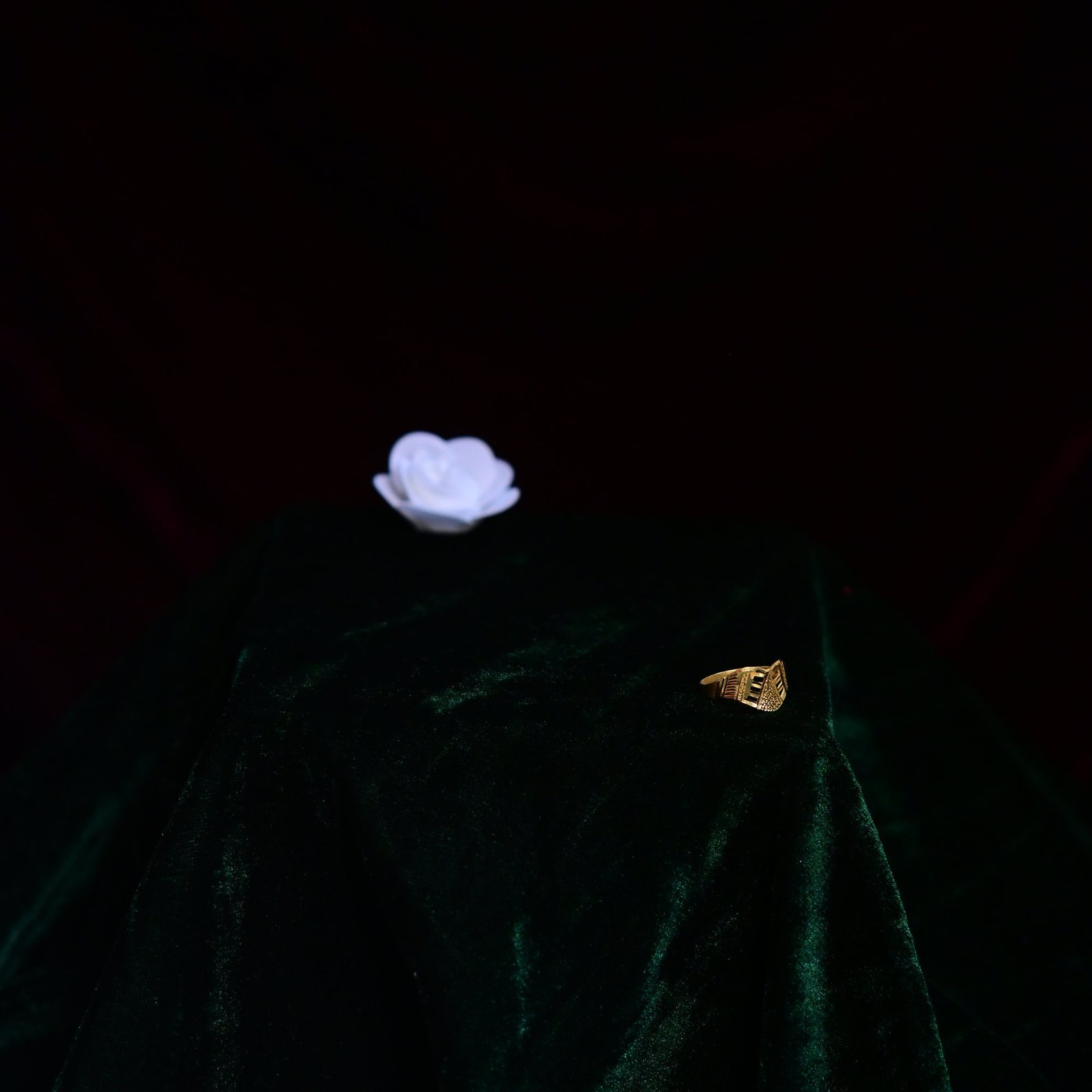 product307.jpg Ladies Ring - Image 1